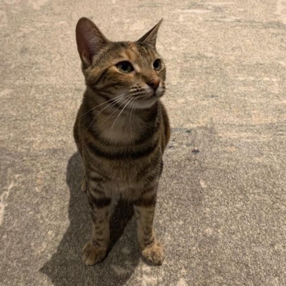 Meet your Posher, Krista - Picture 1 of 1